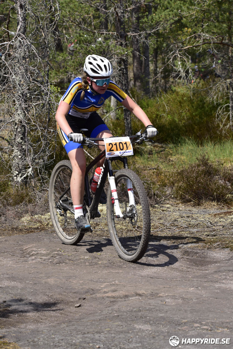 Bild från Lida Loop 2018